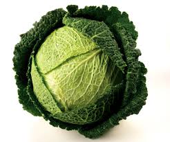 Chinese fresh green round cabbage